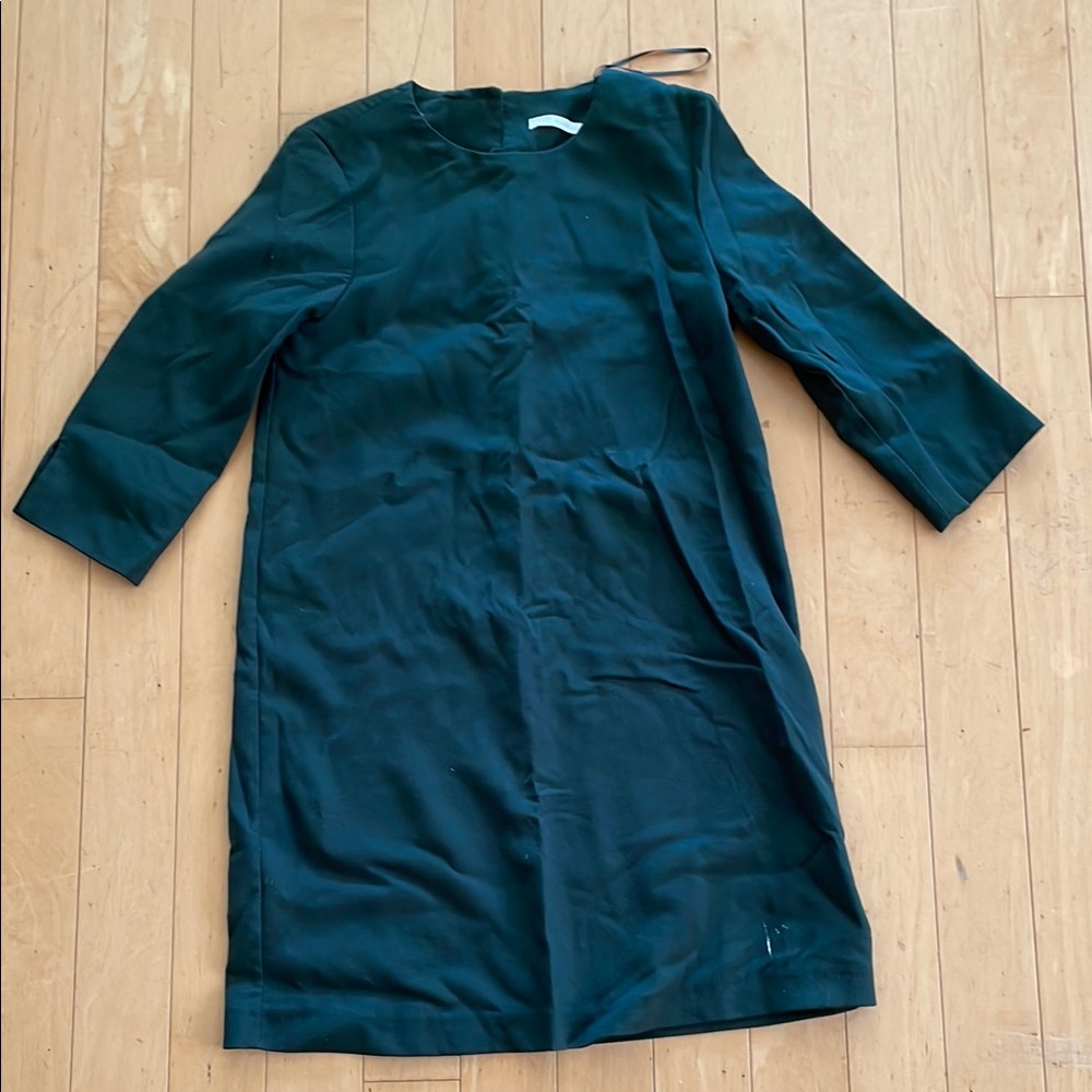 Zara Dress with Sleeves